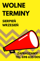 plakat wolny domek4 plakat wolny domek
