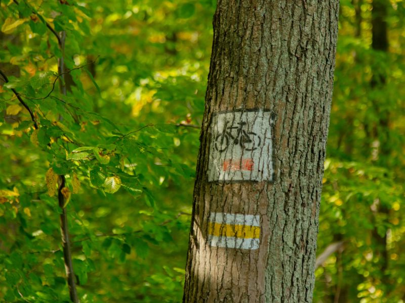 Polecane atrakcje w Sarbinowie i okolicach